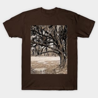 Trees On the Grounds of Jean Lafitte National Historical Park  Louisiana T-Shirt